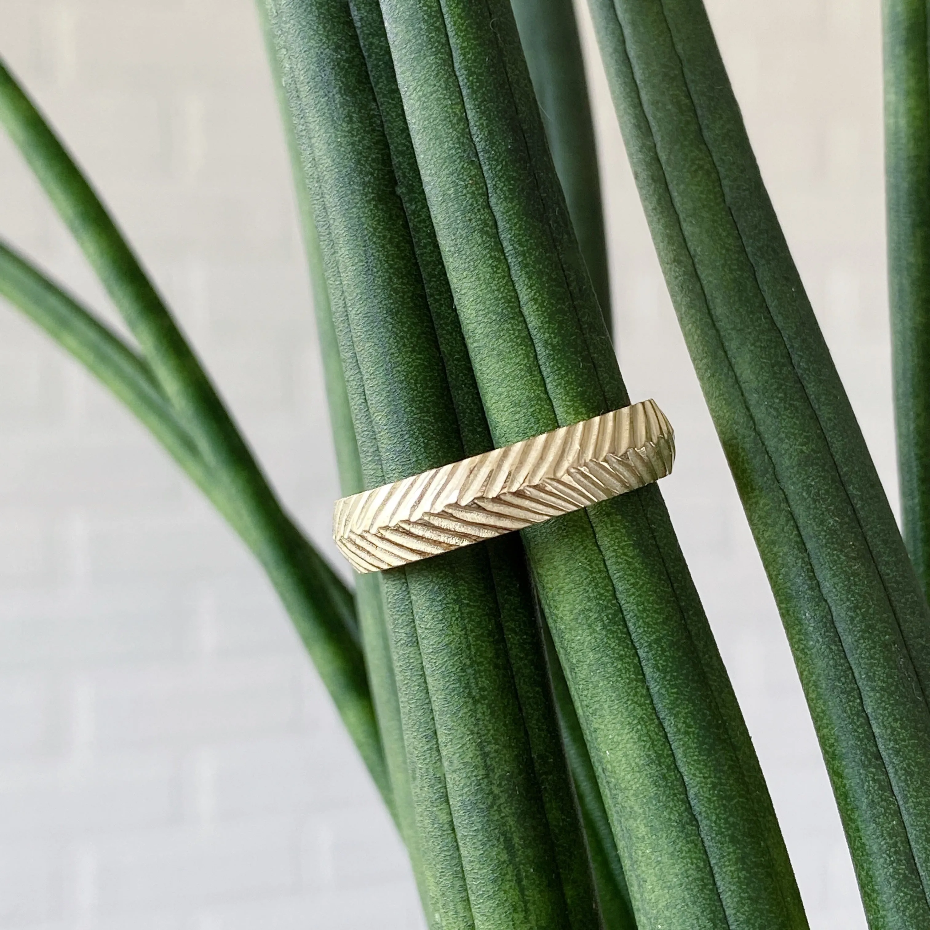 Herringbone Wide Band