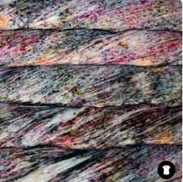Malabrigo Sock